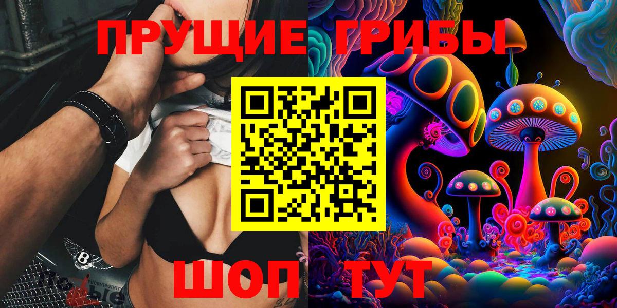 Уссурийск  Псилоцибиновые грибы Psilocybe  Вход с VPN 