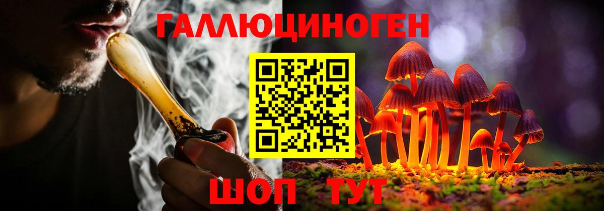 Галлюциногенные грибы GOLDEN TEACHER Уссурийск